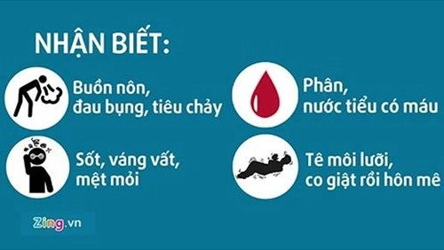 Ngộ độc thực phẩm và những cách xử lí chính xác cần biết - 2