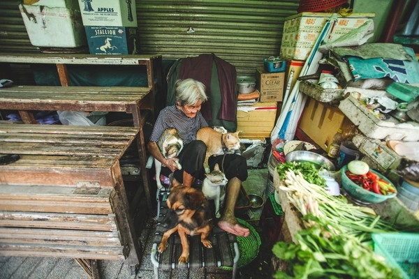 Những chú chó mèo bị bỏ rơi và hàng rau của bà cụ không gia đình ở sài gòn - 2