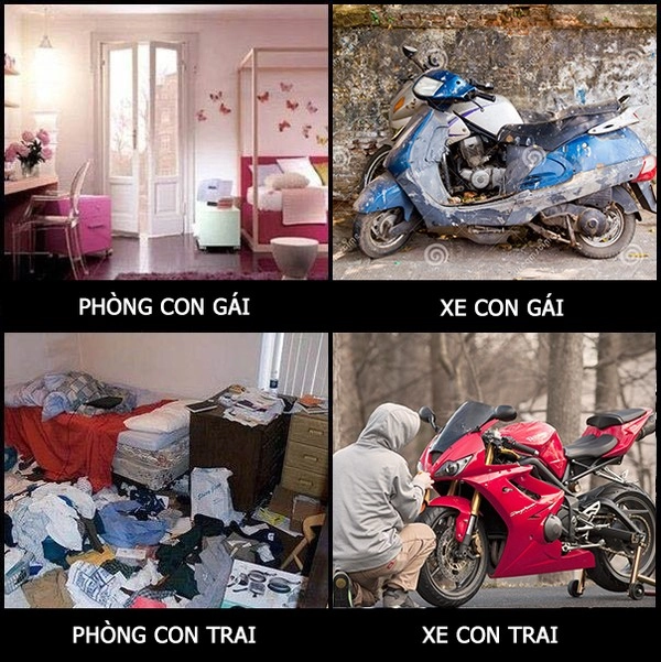 Những định luật chuẩn không cần chỉnh về sự khác nhau giữa con trai và con gái - 1