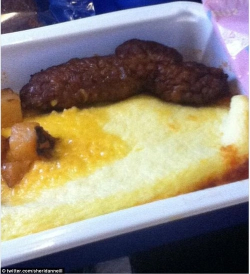 Những món ăn kinh dị trên máy bay bạn không dám tin là thật - 10