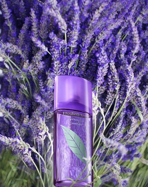 Nước hoa theo mùa green tea lavender - 2