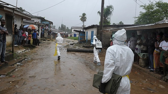 Phát hiện mới về nguồn gốc phát tán virus ebola - 2