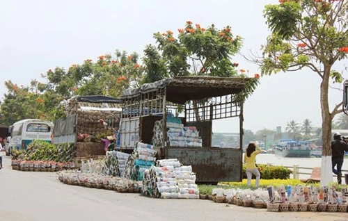 Rực rỡ sắc xuân làng hoa tân quy đông - 20