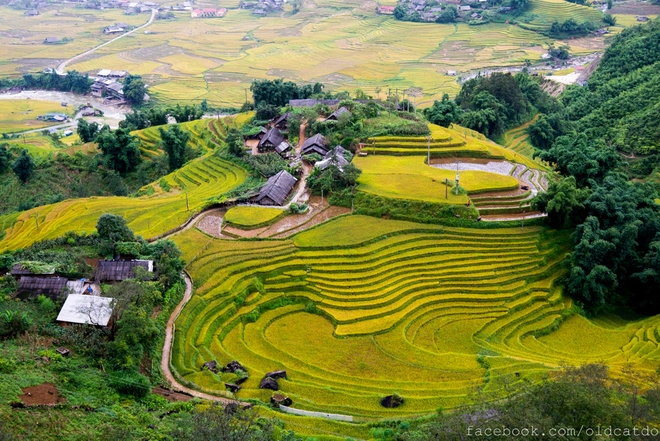 Ruộng bậc thang sa pa vào danh sách những nơi đẹp nhất thế giới - 1