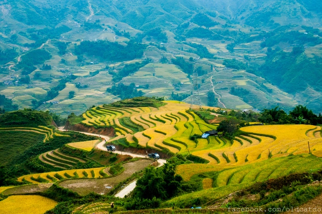 Ruộng bậc thang sa pa vào danh sách những nơi đẹp nhất thế giới - 2