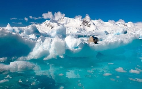 Sinh vật bí ẩn tồn tại dưới lớp băng dày 740m ở nam cực - 4