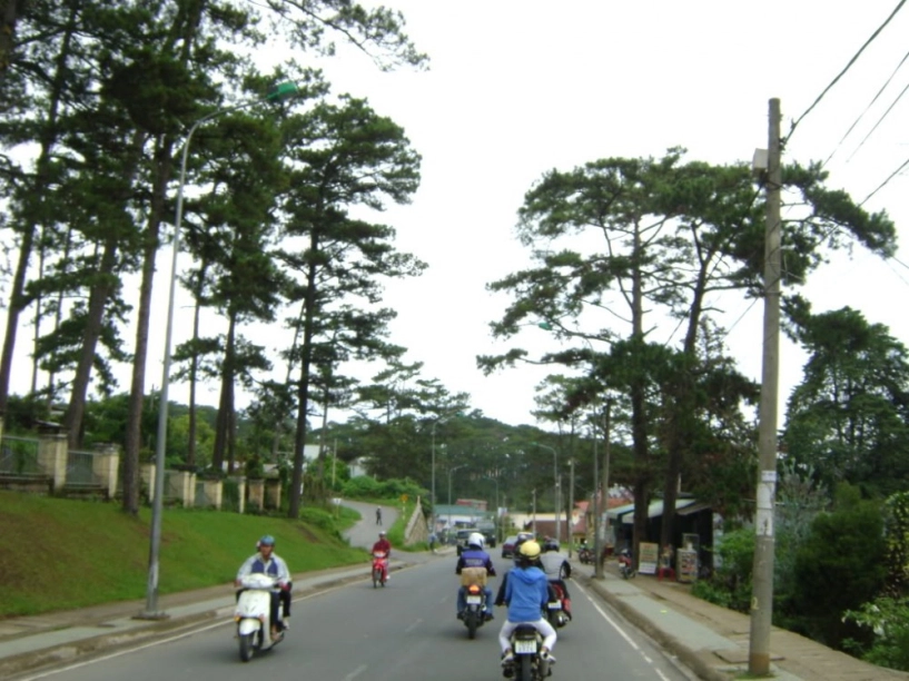 Tour sài gòn nha trang đà lạt chinh phục đèo omega - 20