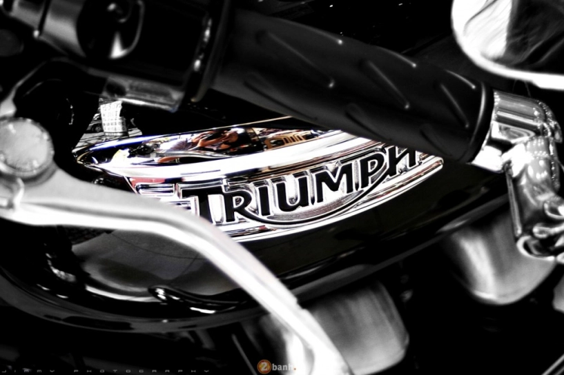 Triumph t100 2015 - chiếc cafe racer chính hãng - 5
