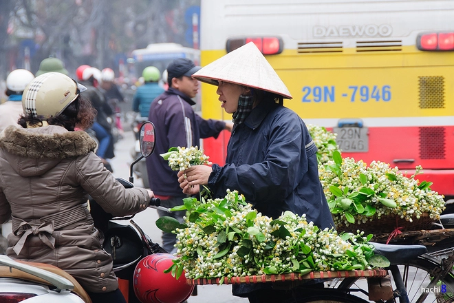 Vẻ đẹp tinh khiết của hoa bưởi hoa chanh - 4