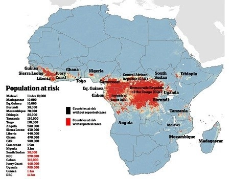 Virus ebola có thể biến đổi để lây nhiễm qua không khí - 1