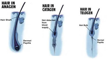 Cải thiện mái tóc hư tổn dễ gãy rụng - 1