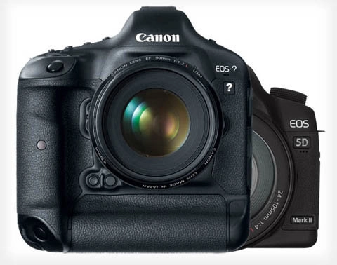 Canon sắp ra dslr cảm biến độ phân giải siêu cao - 1