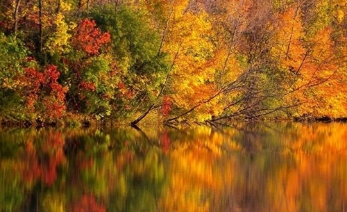 Chùm ảnh tuyệt đẹp về sự thay đổi ngoạn mục thiên nhiên mùa thu p2 - 1