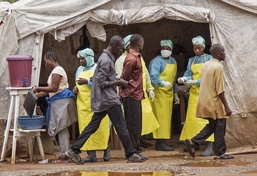 Chuyên gia y tế đầu tiên của who nhiễm ebola ở tây phi - 1