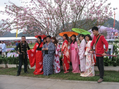 Cơ hội mặc kimono chụp ảnh với hoa anh đào ở hạ long - 1