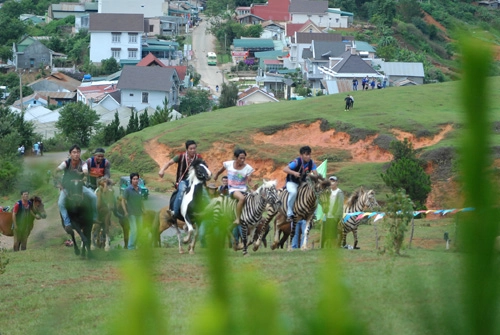 Đua ngựa không yên ở núi langbiang - 1