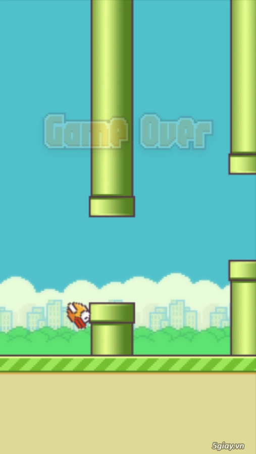 Flappy bird đã có mặt cho các máy windows phone update - 4