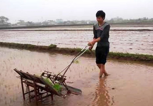 Hành trình sáng tạo máy cấy của anh nông dân thái bình - 1