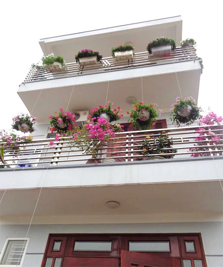 Ngôi nhà ba tầng lãng mạn với hoa nở quanh năm - 2
