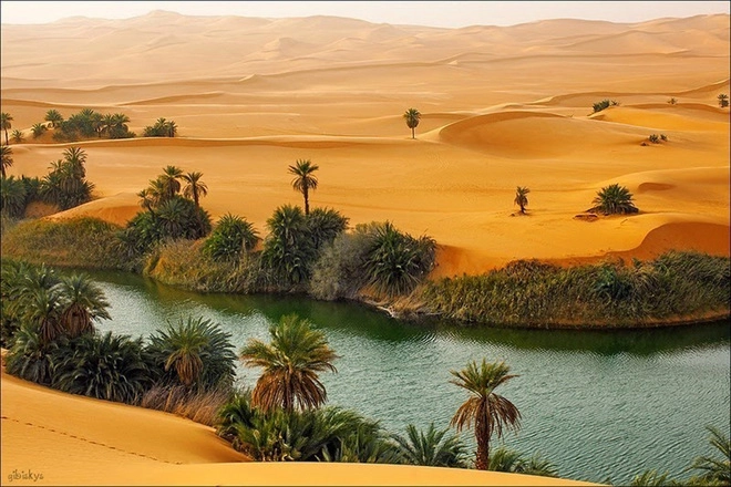Những điều kỳ diệu giữa sa mạc - 2
