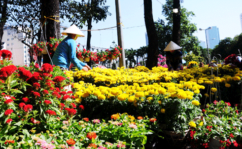 Rầm rộ hội hoa xuân giáp ngọ 2014 tại tphcm - 2