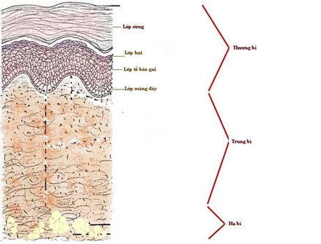 Tắm trắng cần hiệu quả hay an toàn - 1