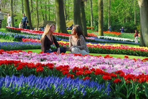 Thăm xứ sở nữ hoàng hoa tulip - 3