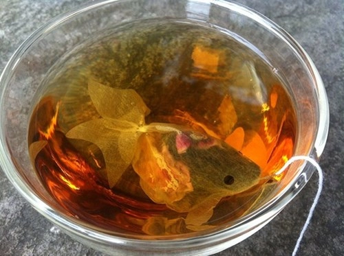 Trà túi lọc cực độc biến cốc trà của bạn thành bể cá - 1