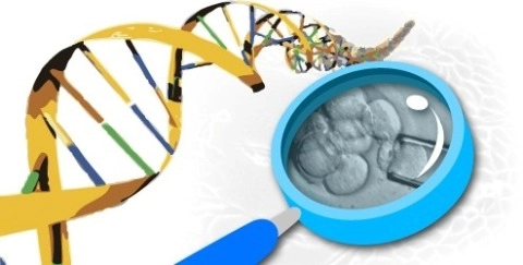 Trẻ hóa bằng liệu pháp tế bào gốc - 3