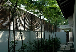 Tường rào gỗ - 1