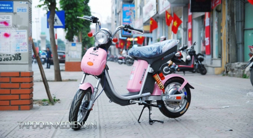 Xe đạp điện maxbike cool giảm nỗi lo hàng giả - 3