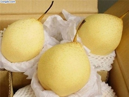 5 loại trái cây nổi tiếng độc hại năm 2012 - 1