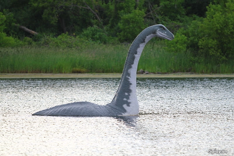 Apple maps chụp được hình ảnh quái vật hồ loch ness - 1