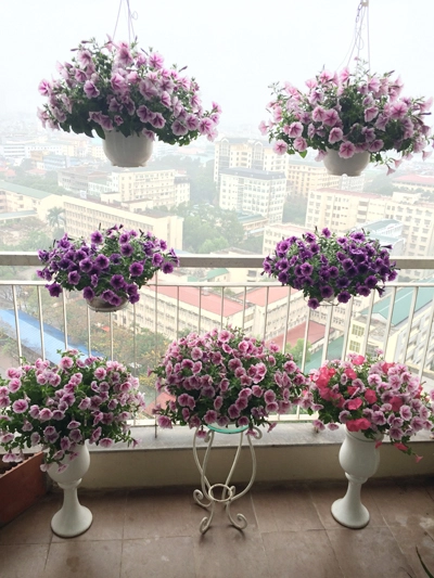 Ban công tầng 18 ngập hoa rực rỡ ở hà nội - 4