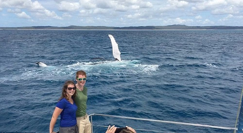 Cá voi vẫy chào khách du lịch - 1