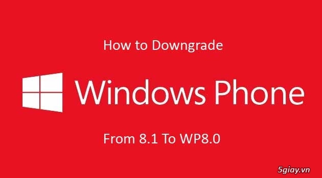 Cách hạ cấp wp 81 xuống wp 80 đơn giản nhất - 1