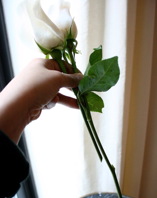Cắm hoa hồng đẹp đón tết nồng ấm - 4