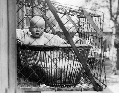 chuồng cọp cho bé chơi ngoài cửa sổ chung cư đầu thế kỷ 20 - 1