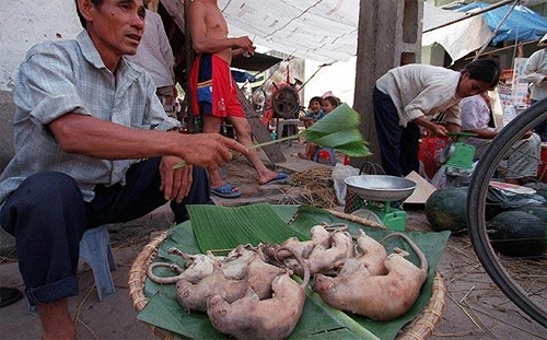 Chuột đồng việt nam là món ăn rẻ nhất thế giới - 1