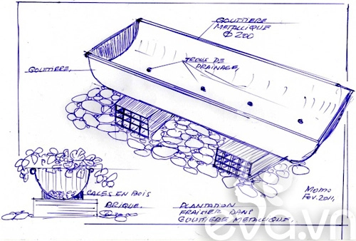 Cô chủ việt khoe cách trồng dâu tại pháp - 4