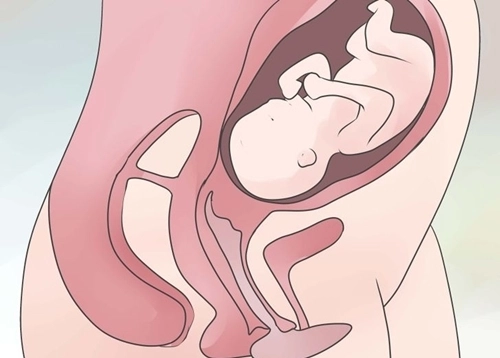 Dù chưa từng nhìn thấy cổ tử cung nhưng đây là 10 điều bạn cần biết - 2