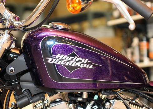 Harley-davidson màu độc giá nửa tỷ đồng - 4