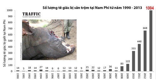 Hơn một nghìn con tê giác bị giết ở nam phi năm 2013 - 1