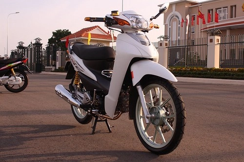 Honda wave độ hàng hiệu đậm chất chơi - 1