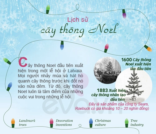 Infographic lịch sử 400 năm của cây thông noel - 1