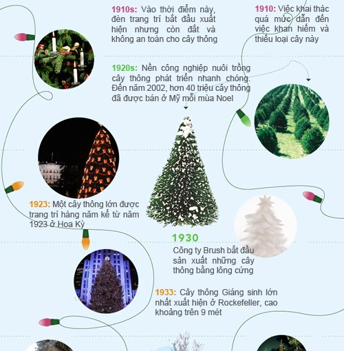 Infographic lịch sử 400 năm của cây thông noel - 2