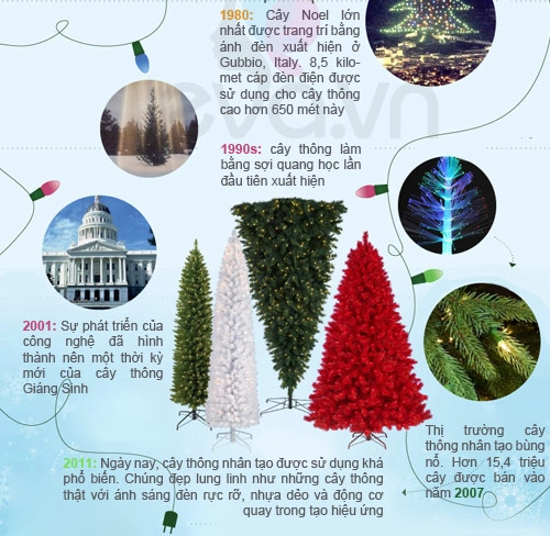 Infographic lịch sử 400 năm của cây thông noel - 4