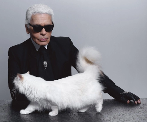 Một ngày lãng mạn trong cô độc của karl lagerfeld - 1