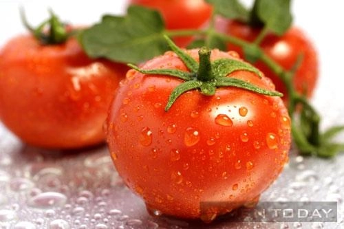 Nam giới nên ăn cà chua để bảo vệ tinh trùng - 1
