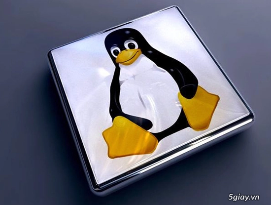 Nhiều máy chủ linux tại vn dính lỗ hổng nghiêm trọng mức cao nhất - 1